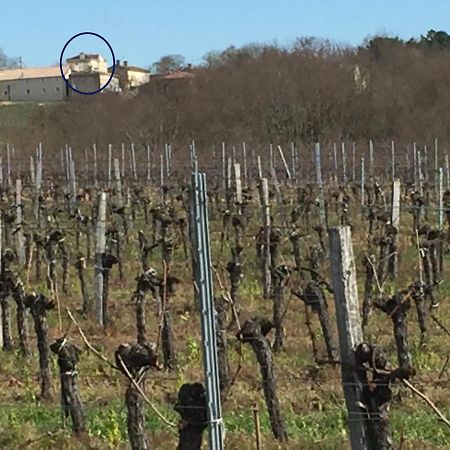 Superbe Gite A La Campagne Dans Le Bordelais Saint-Vivien-de-Blaye Exterior photo