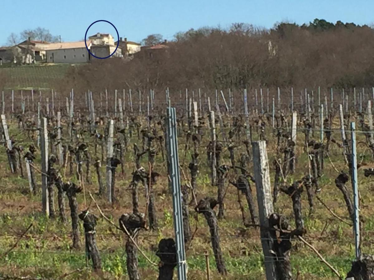 Superbe Gite A La Campagne Dans Le Bordelais Saint-Vivien-de-Blaye Exterior photo